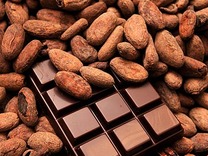 Kakao a čokoláda